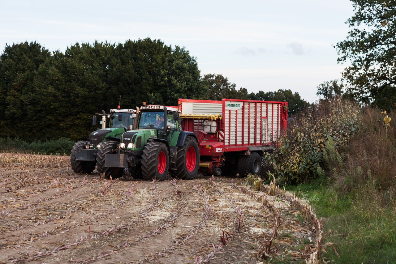 Bild 174 - Maisernte 2016